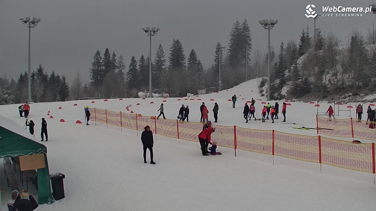 COS Istebna - Kubalonka Trasy Biegowe - 01 luty 2026, 10:27