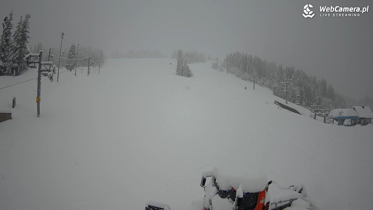 JURGÓW - Hawrań - 31 marzec 2026, 08:58