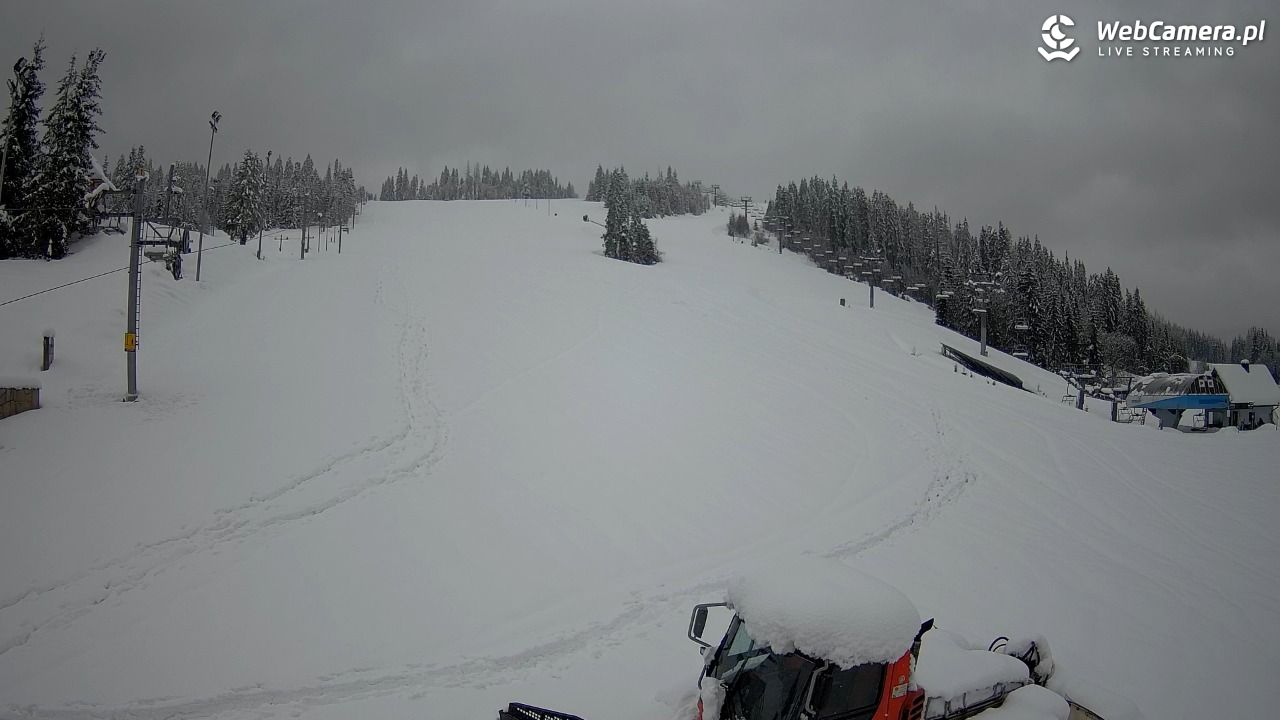 JURGÓW - Hawrań - 31 marzec 2026, 16:21