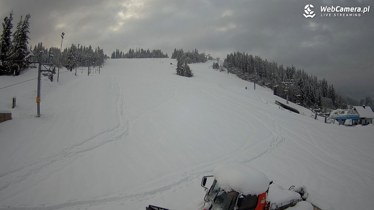 JURGÓW - Hawrań - 01 kwiecień 2026, 06:48