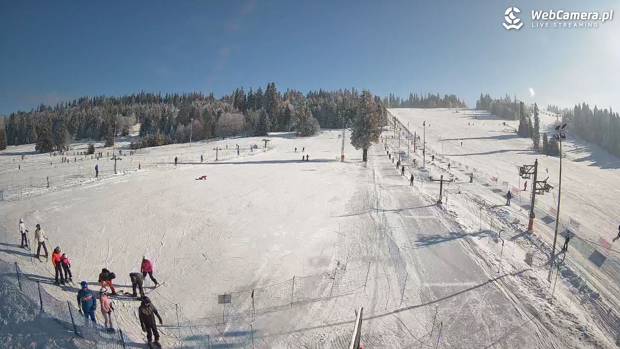 JURGÓW - Hawrań - 01 luty 2026, 11:23