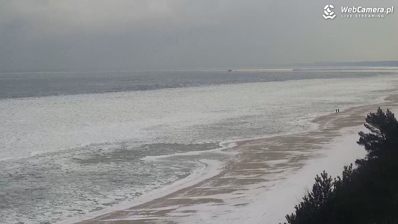 KĄTY RYBACKIE - plaża - 19 luty 2026, 10:32