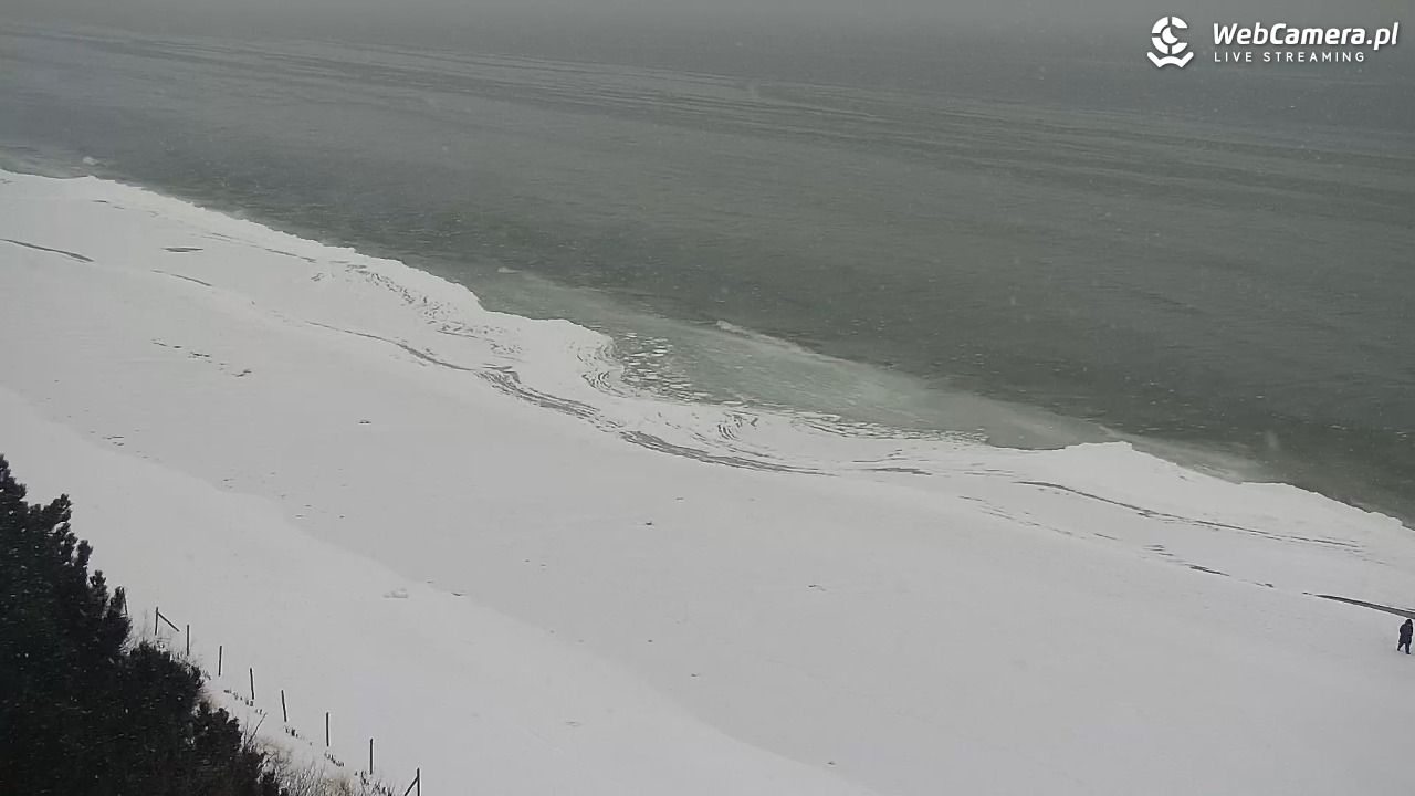 KĄTY RYBACKIE - plaża - 17 luty 2026, 16:10