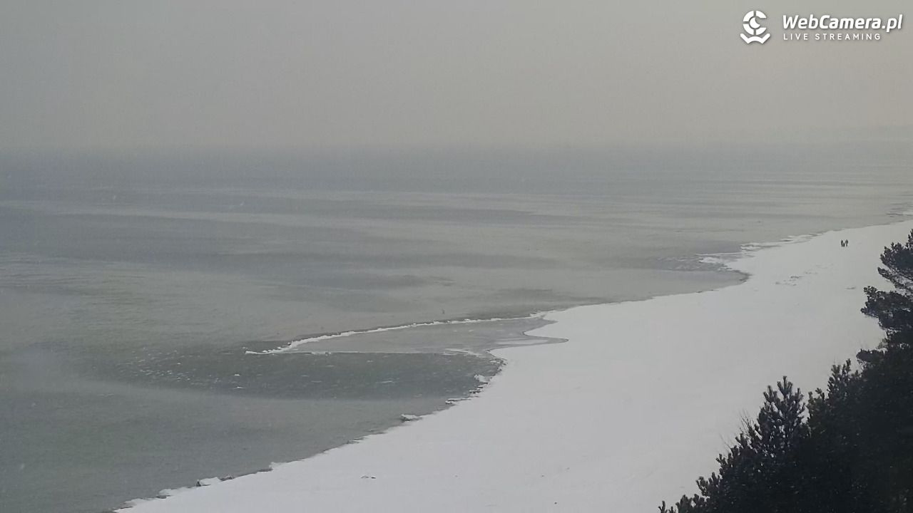 KĄTY RYBACKIE - plaża - 18 luty 2026, 13:35