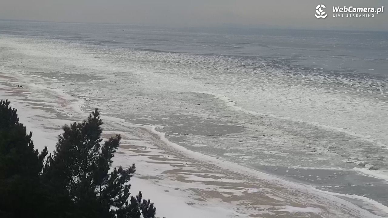 KĄTY RYBACKIE - plaża - 19 luty 2026, 11:09