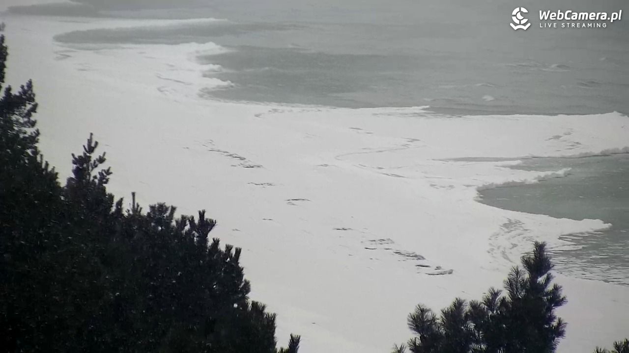 KĄTY RYBACKIE - plaża - 17 luty 2026, 16:25