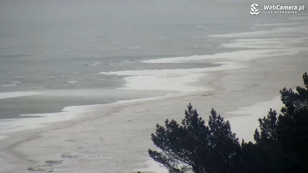 KĄTY RYBACKIE - plaża - 17 luty 2026, 10:24