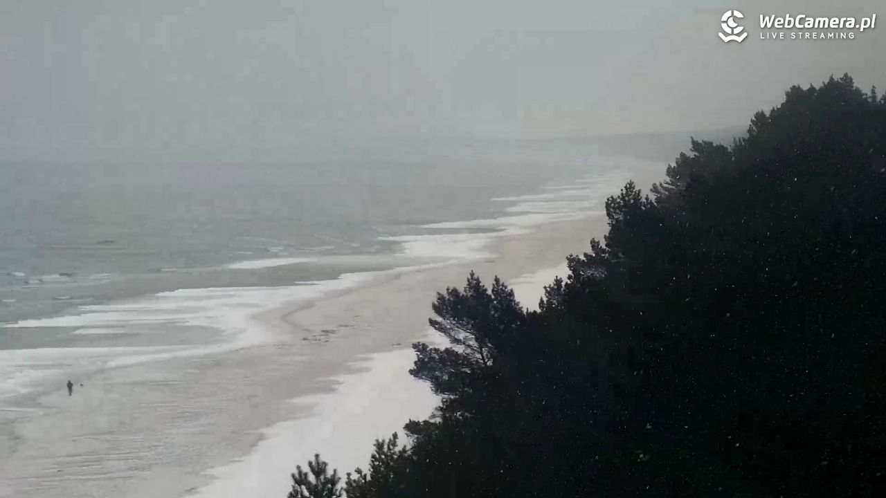 KĄTY RYBACKIE - plaża - 17 luty 2026, 10:24