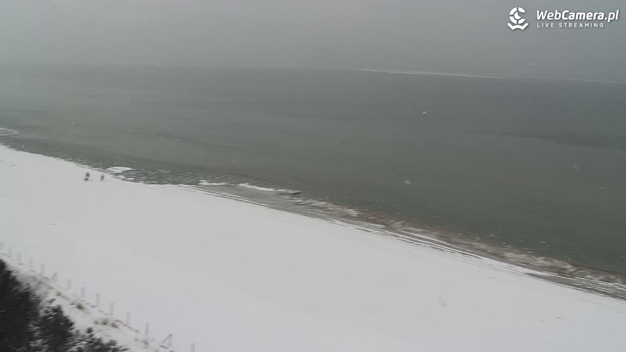 KĄTY RYBACKIE - plaża - 18 luty 2026, 14:02
