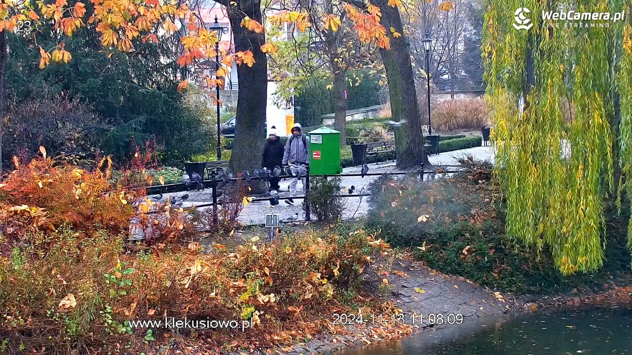 Bolesławiec - Staw Miejski - 13 listopad 2024, 11:08
