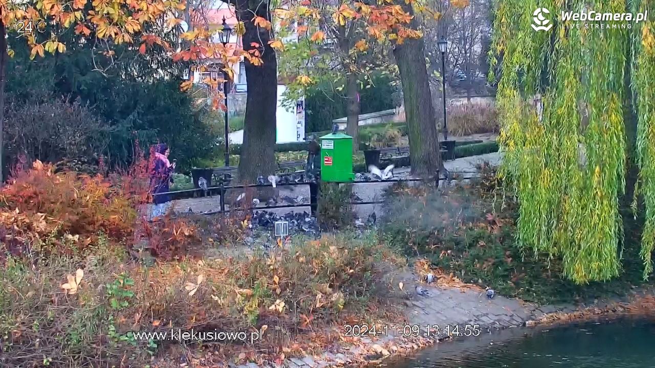 Bolesławiec - Staw Miejski - 09 listopad 2024, 13:15