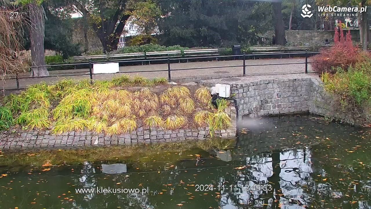 Bolesławiec - Staw Miejski - 11 listopad 2024, 12:51