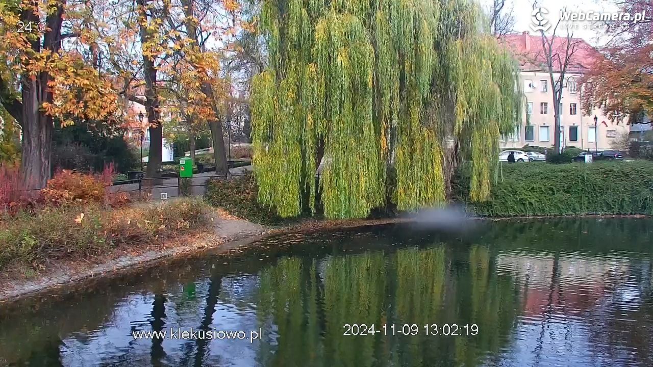 Bolesławiec - Staw Miejski - 09 listopad 2024, 13:04