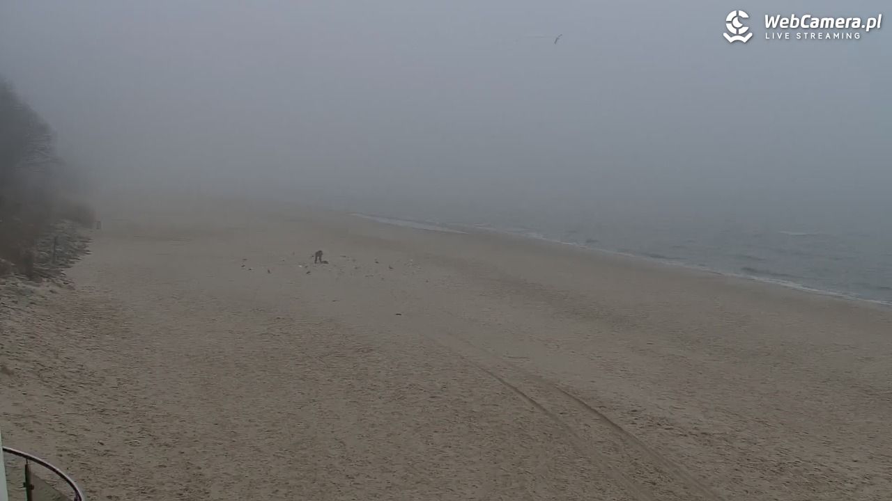 Kołobrzeg - widok na plażę zachodnią - 24 luty 2026, 10:09
