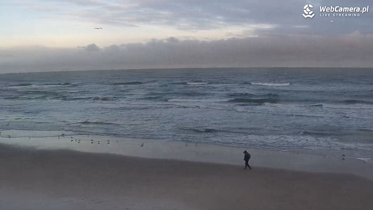 Kołobrzeg - widok na plażę zachodnią - 31 grudzień 2025, 08:52