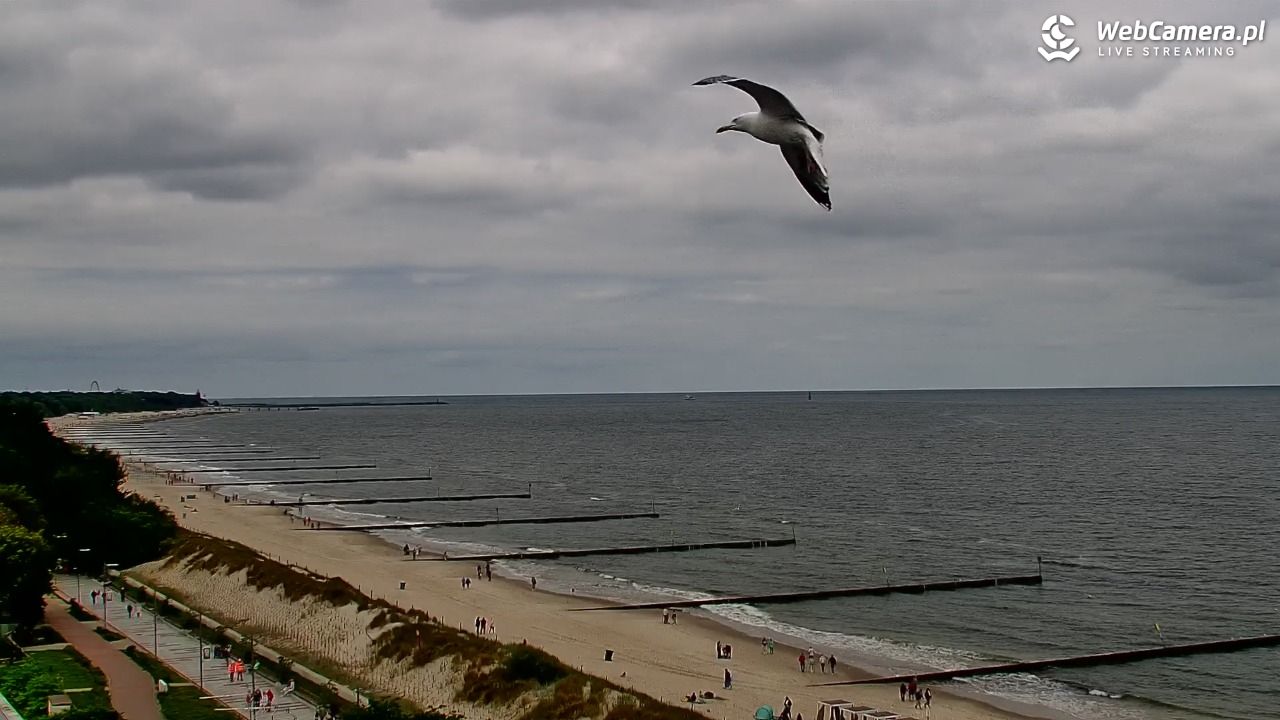 KOŁOBRZEG - widok na plażę - 17 czerwiec 2026, 11:42