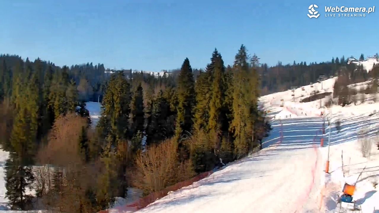 Kotelnica Białczańska - Remiaszów - 17 styczeń 2026, 09:40