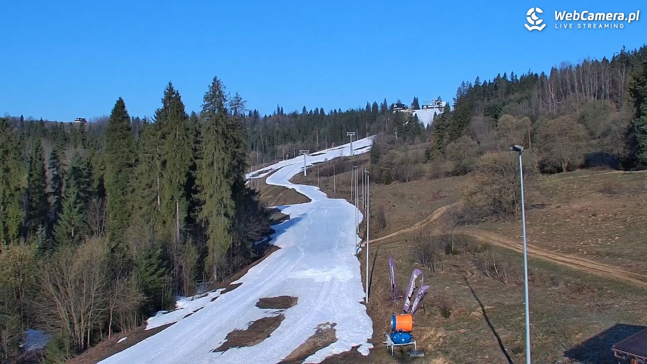Kotelnica Białczańska - Remiaszów - 12 kwiecień 2026, 07:19