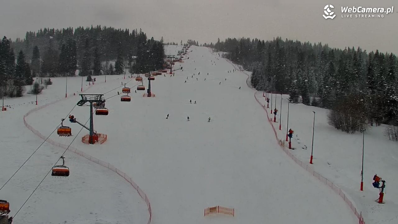 Kotelnica Białczańska - Remiaszów - 18 luty 2026, 09:19