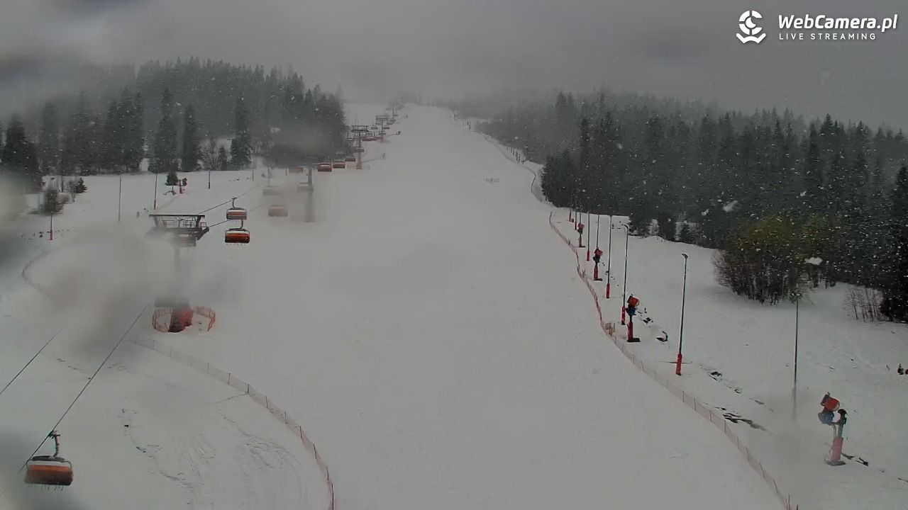 Kotelnica Białczańska - Remiaszów - 30 marzec 2026, 12:01