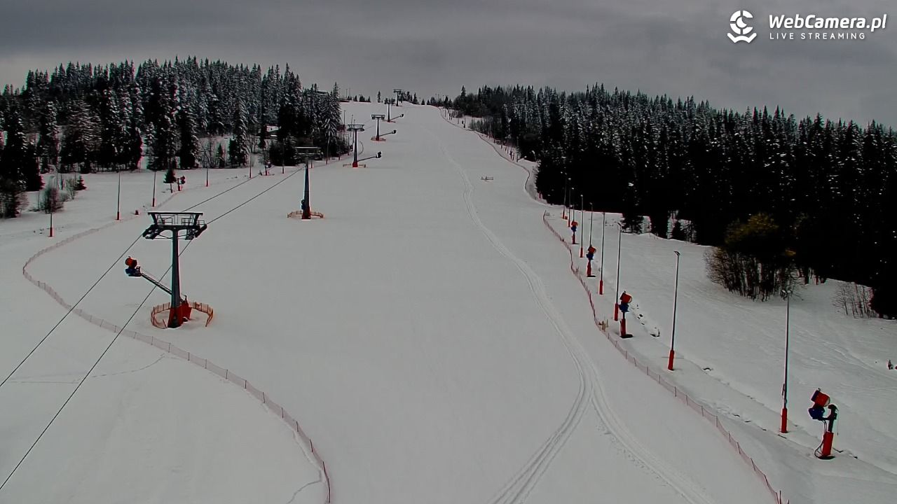 Kotelnica Białczańska - Remiaszów - 01 kwiecień 2026, 10:31