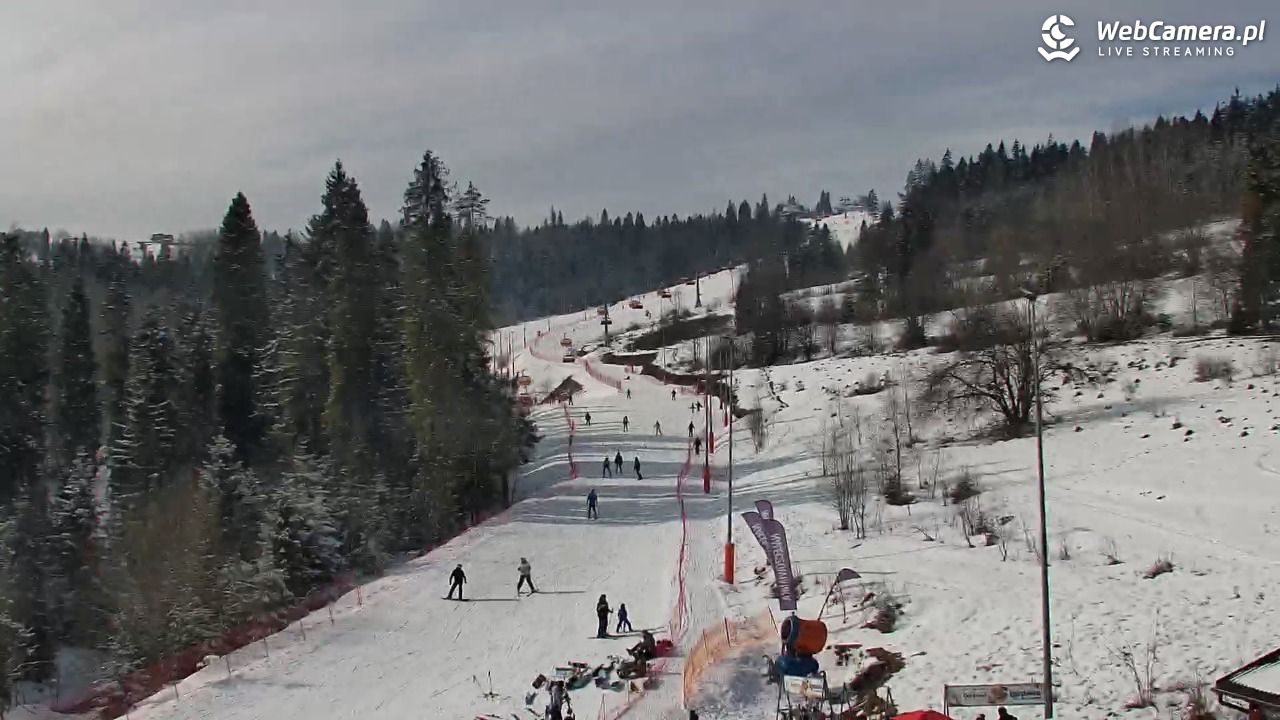 Kotelnica Białczańska - Remiaszów - 17 luty 2026, 12:19