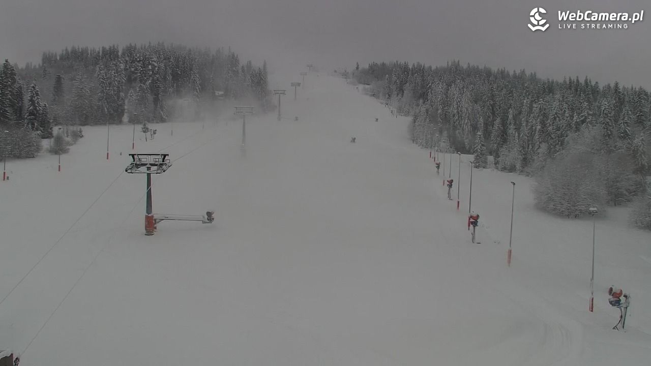 Kotelnica Białczańska - Remiaszów - 23 listopad 2025, 08:17