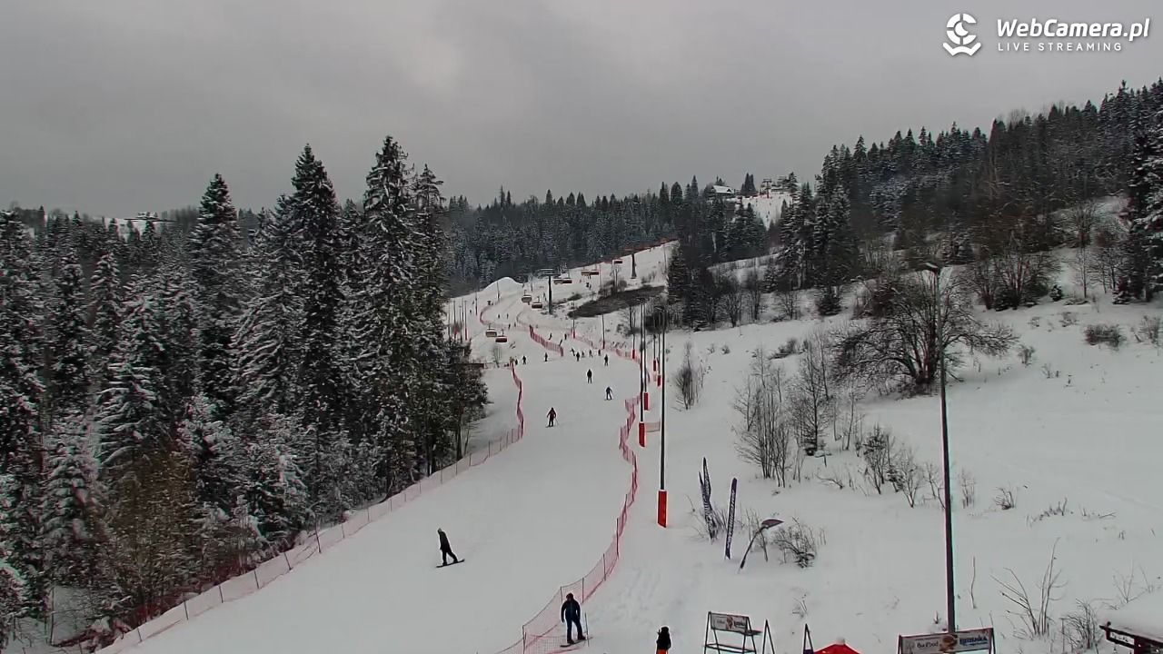 Kotelnica Białczańska - Remiaszów - 10 styczeń 2026, 10:44