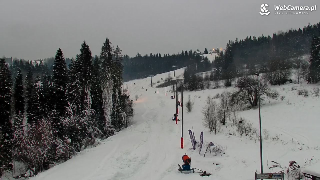 Kotelnica Białczańska - Remiaszów - 25 listopad 2025, 15:51