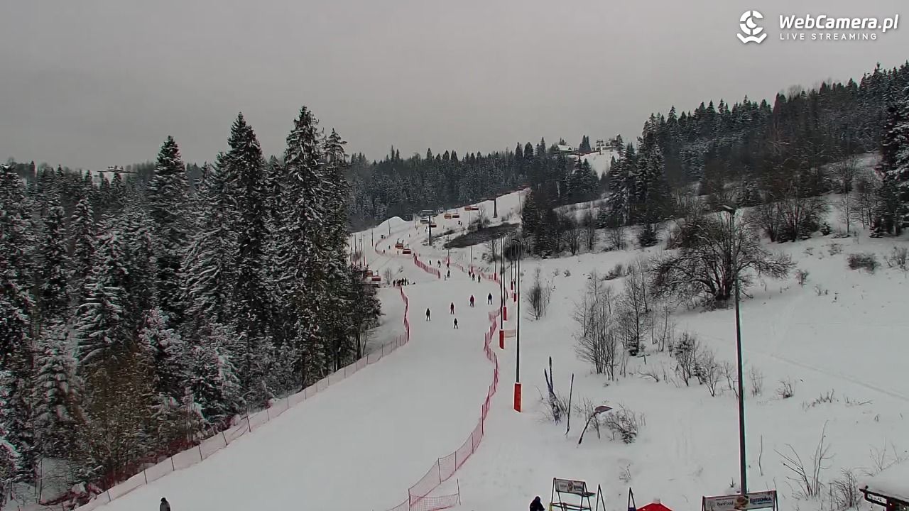 Kotelnica Białczańska - Remiaszów - 10 styczeń 2026, 10:33