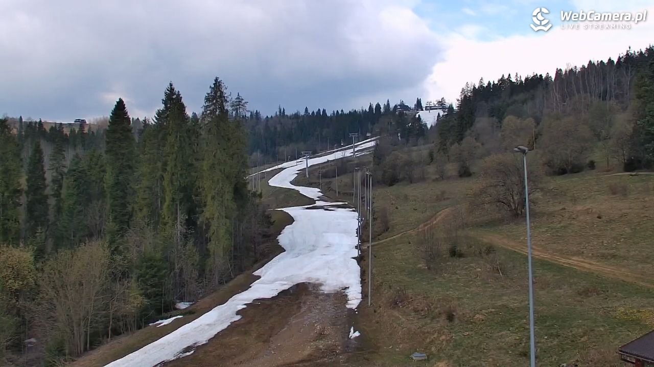 Kotelnica Białczańska - Remiaszów - 17 kwiecień 2026, 10:17