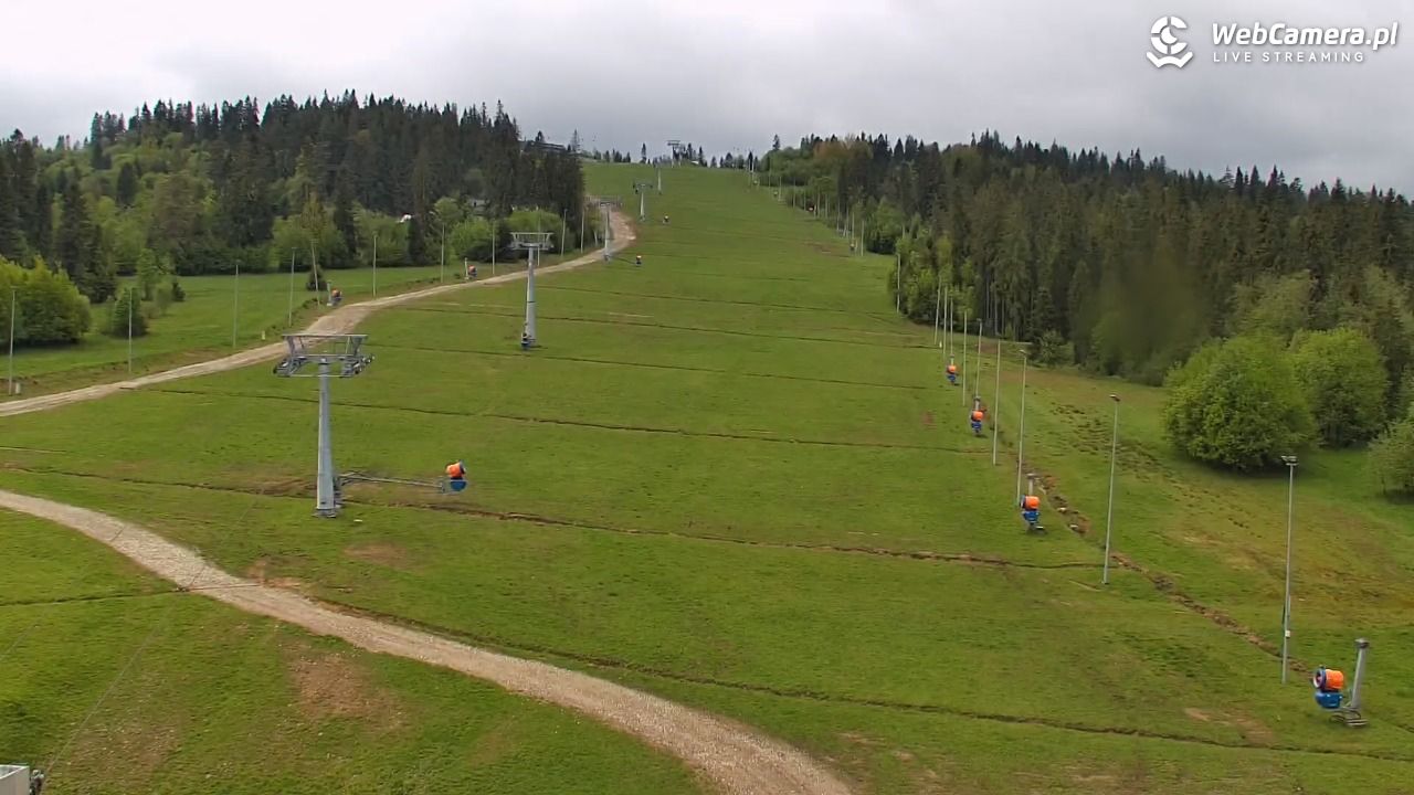Kotelnica Białczańska - Remiaszów - 17 maj 2025, 10:45