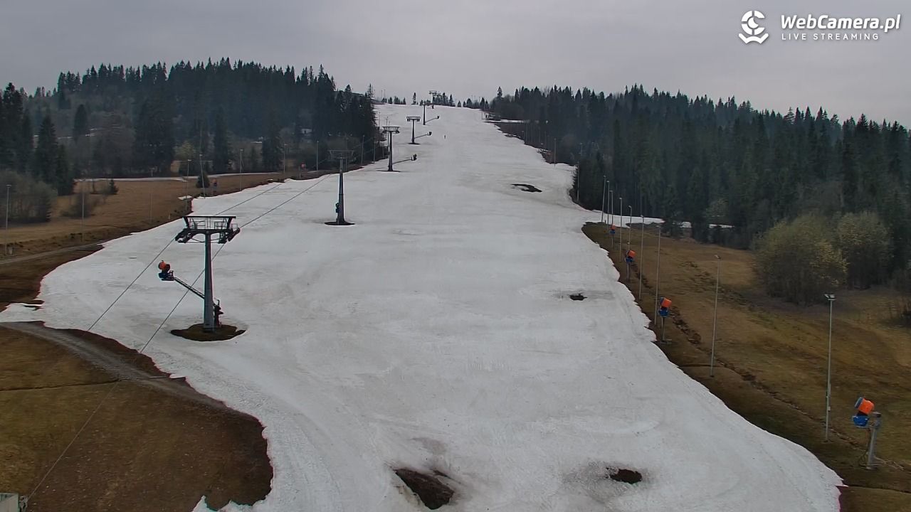 Kotelnica Białczańska - Remiaszów - 15 kwiecień 2026, 10:16