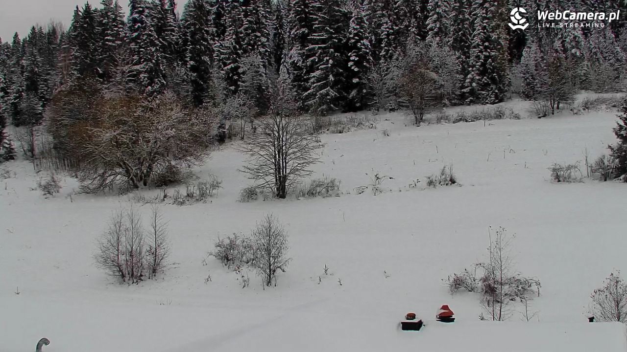 Kotelnica Białczańska - Remiaszów - 27 listopad 2025, 10:09