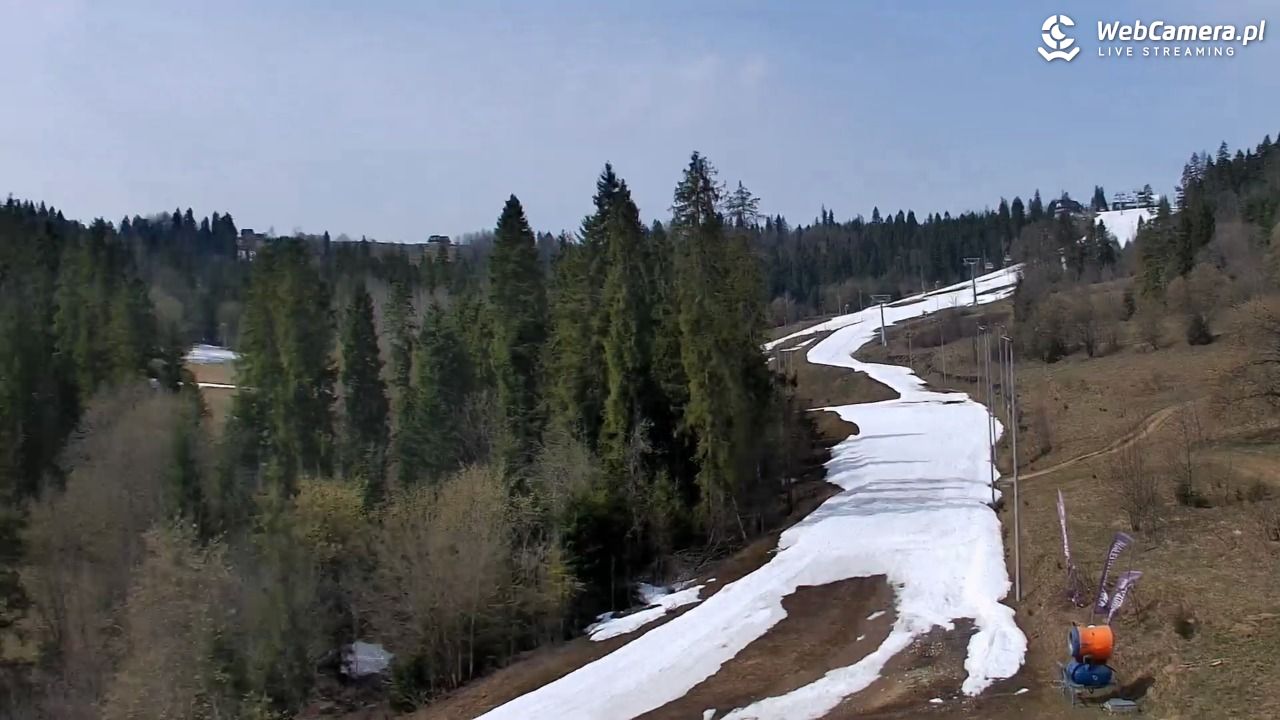 Kotelnica Białczańska - Remiaszów - 14 kwiecień 2026, 11:23