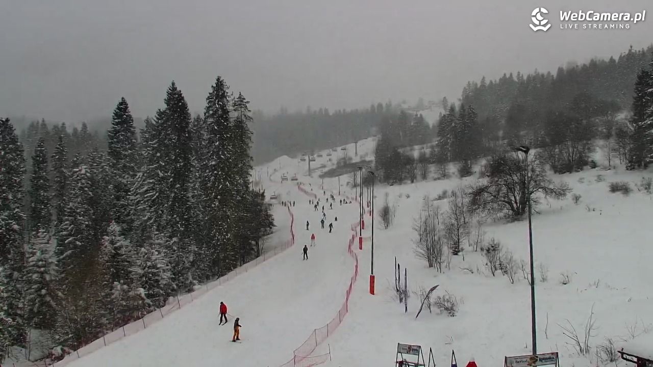 Kotelnica Białczańska - Remiaszów - 11 styczeń 2026, 14:49