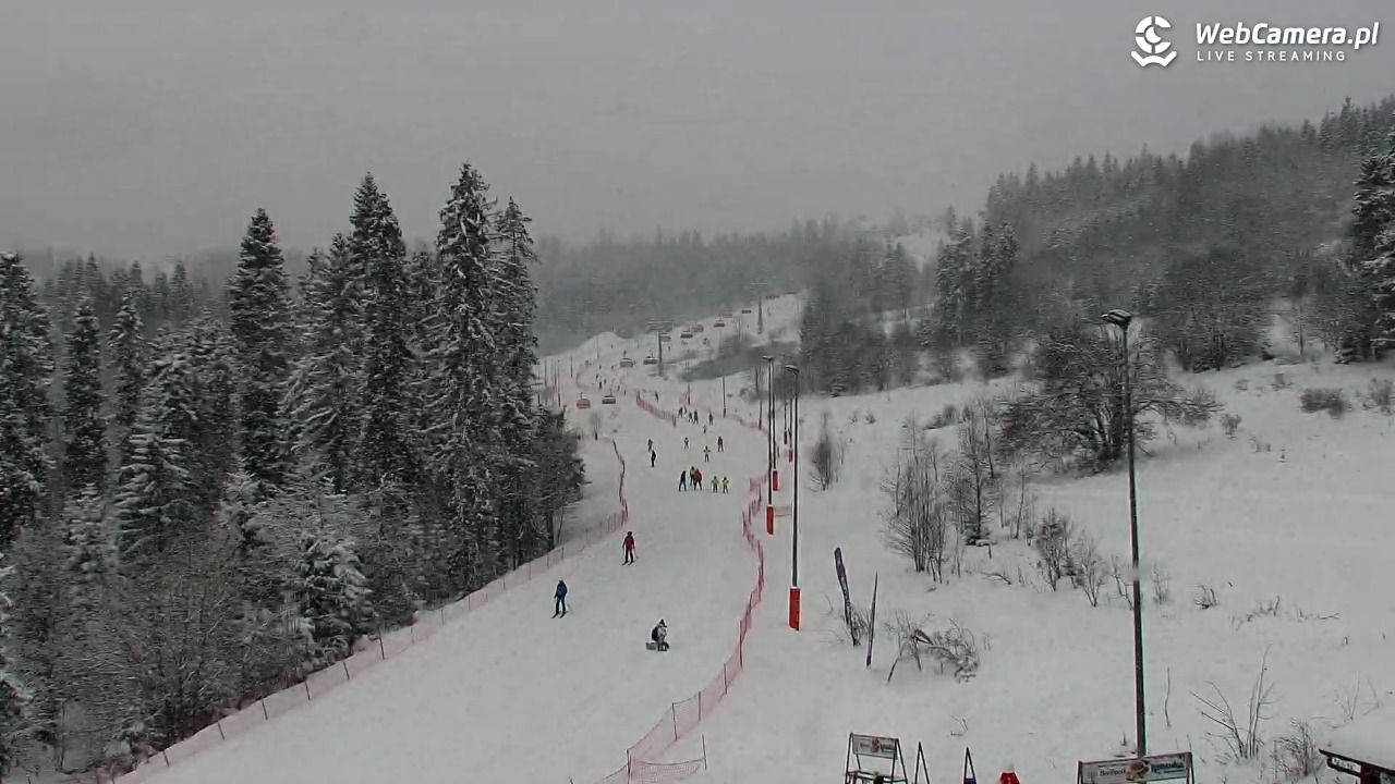 Kotelnica Białczańska - Remiaszów - 08 styczeń 2026, 10:58