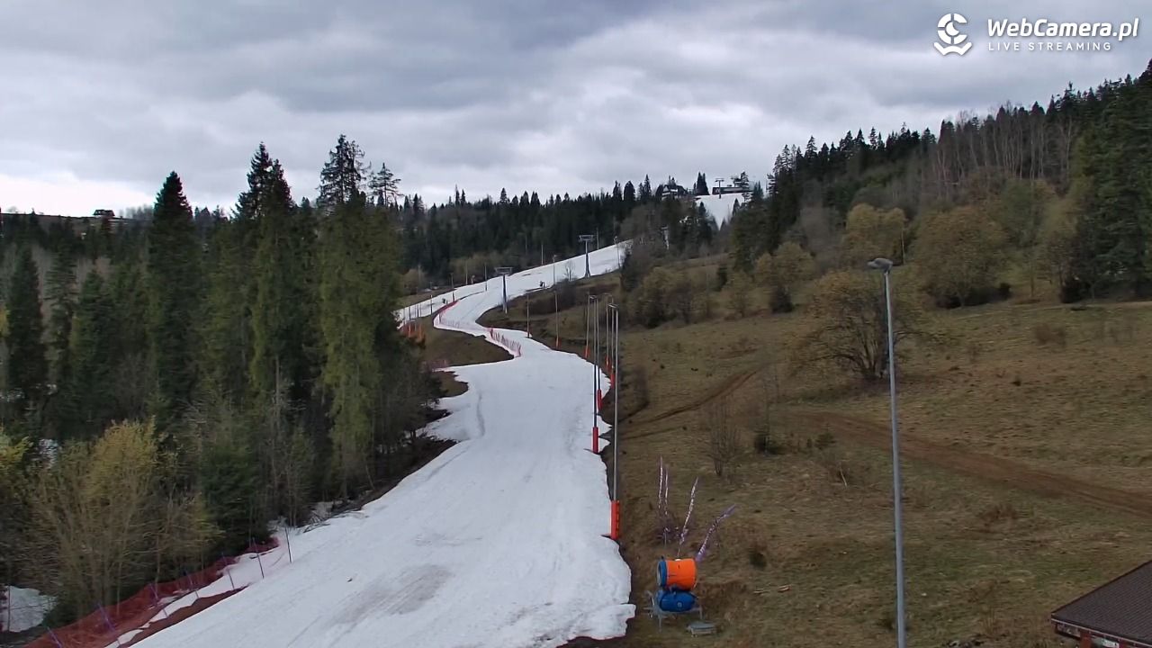 Kotelnica Białczańska - Remiaszów - 06 kwiecień 2026, 11:04