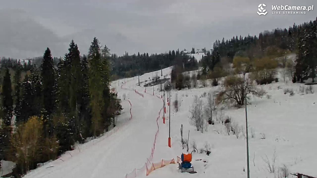 Kotelnica Białczańska - Remiaszów - 01 kwiecień 2026, 10:32