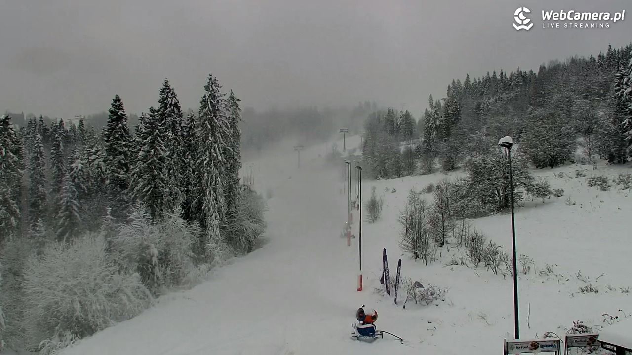 Kotelnica Białczańska - Remiaszów - 23 listopad 2025, 13:43