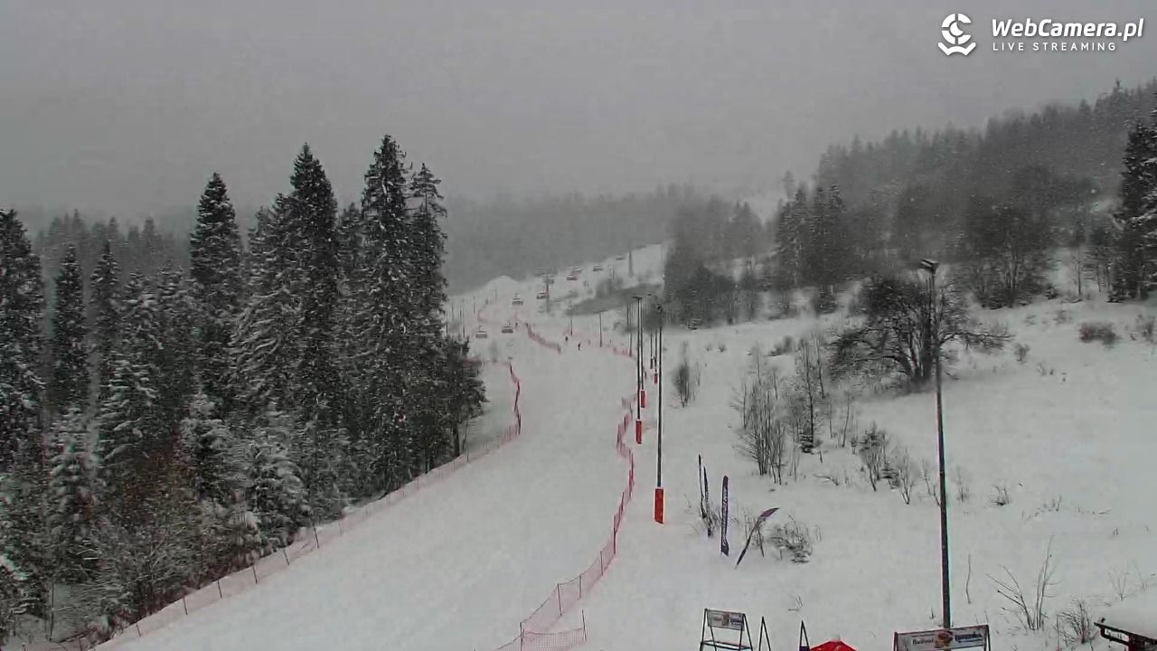 Kotelnica Białczańska - Remiaszów - 11 styczeń 2026, 09:46