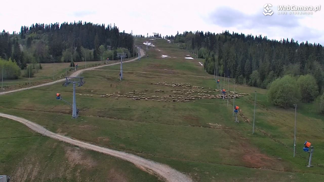 Kotelnica Białczańska - Remiaszów - 07 maj 2026, 10:19