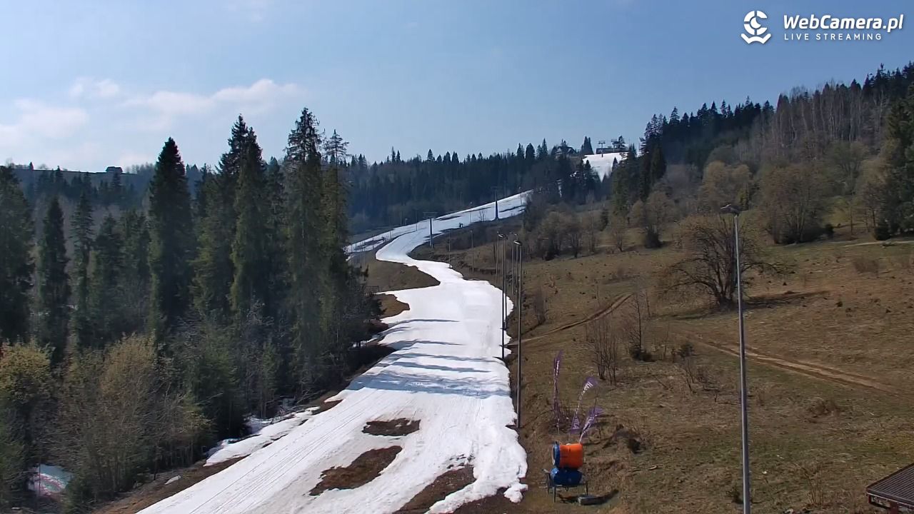 Kotelnica Białczańska - Remiaszów - 11 kwiecień 2026, 14:05