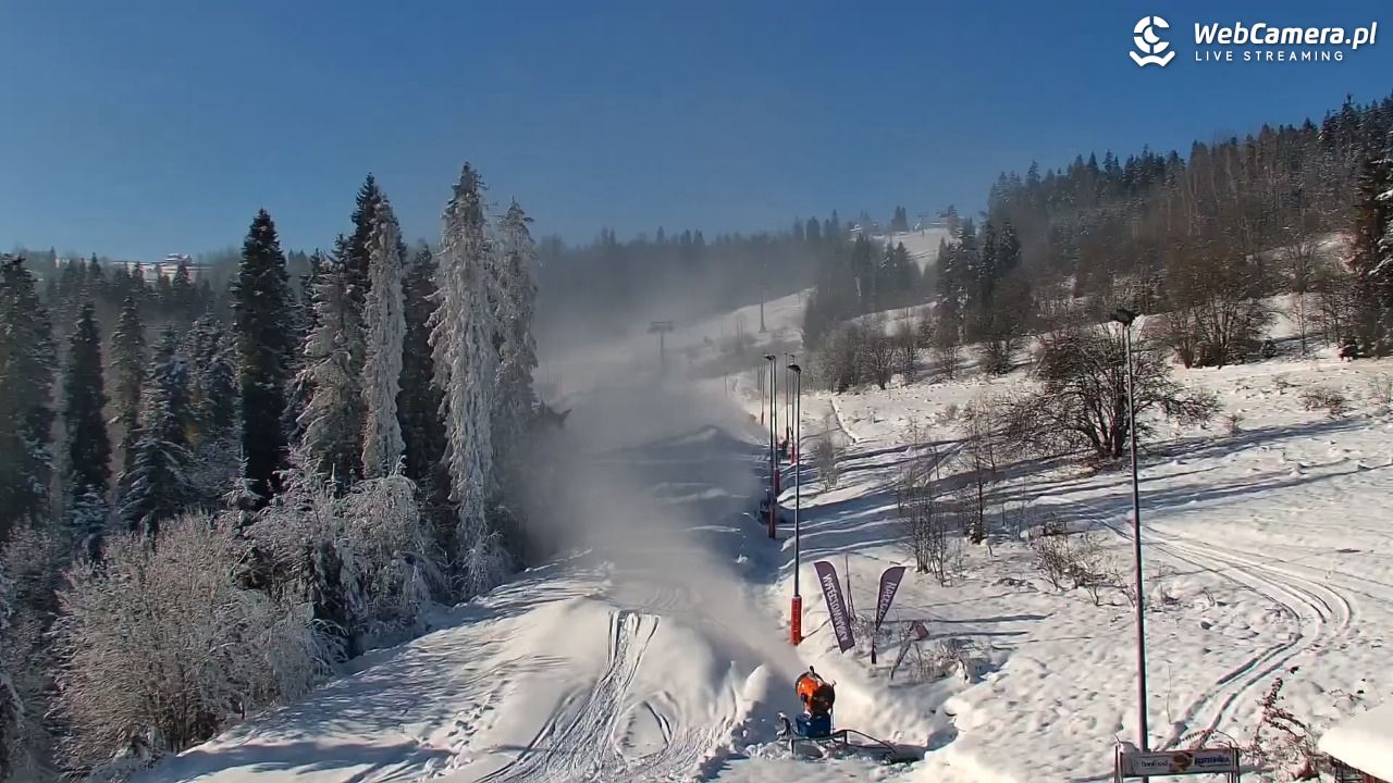 Kotelnica Białczańska - Remiaszów - 28 listopad 2025, 12:04