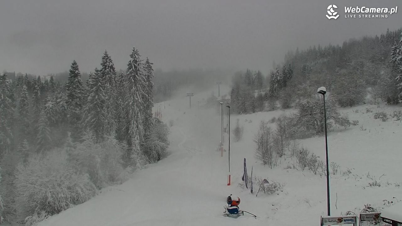 Kotelnica Białczańska - Remiaszów - 23 listopad 2025, 12:28