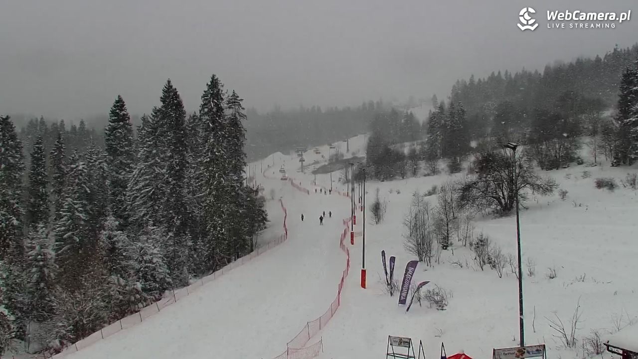 Kotelnica Białczańska - Remiaszów - 11 styczeń 2026, 10:25