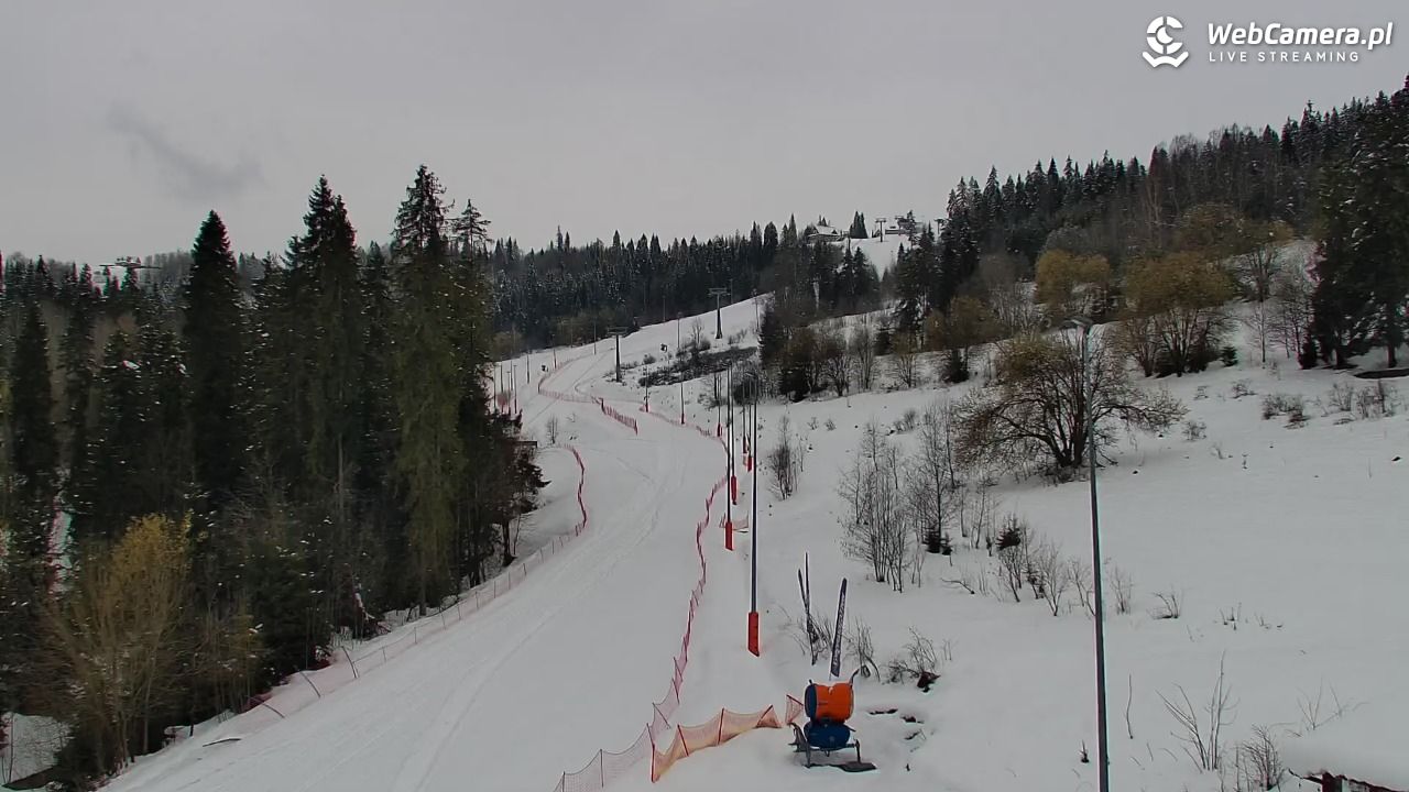 Kotelnica Białczańska - Remiaszów - 01 kwiecień 2026, 11:11