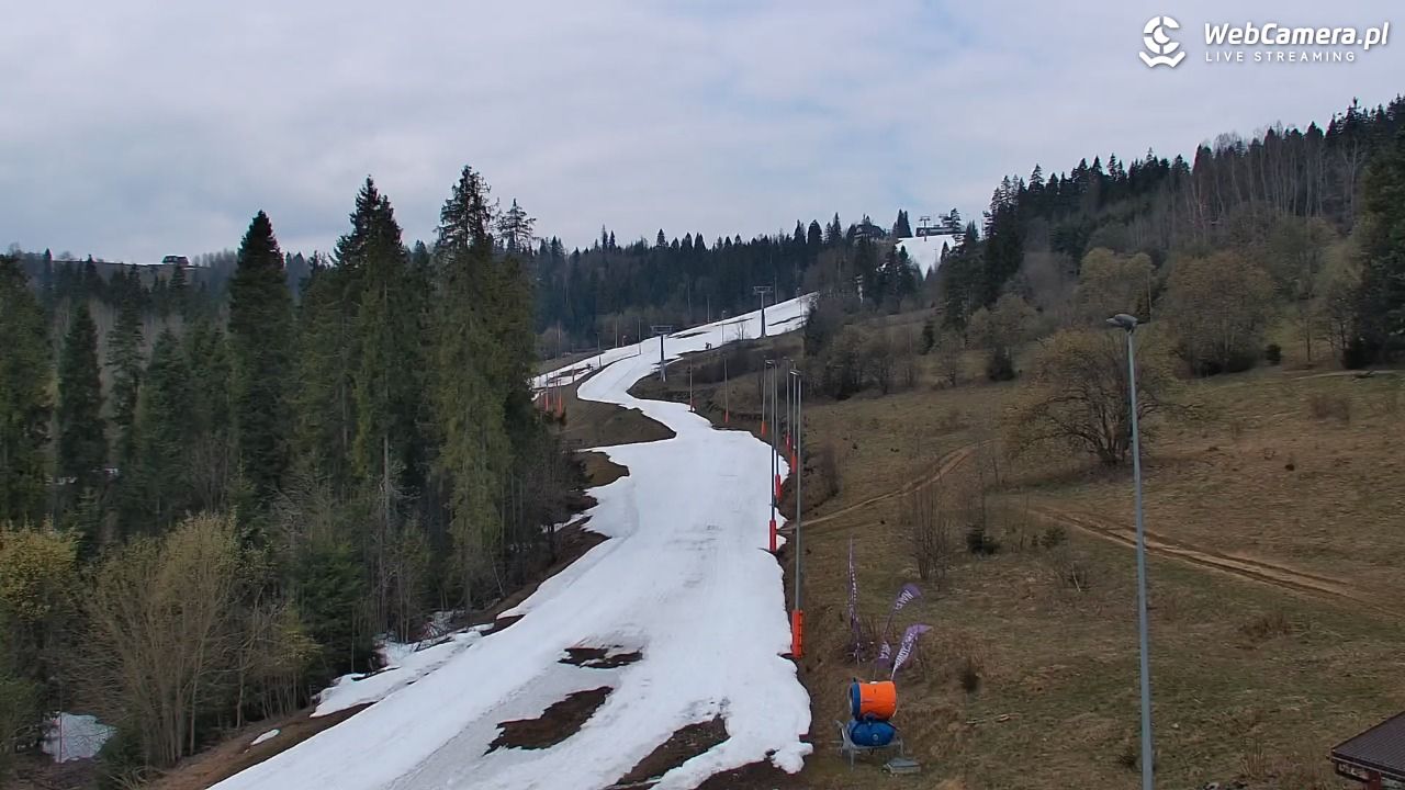 Kotelnica Białczańska - Remiaszów - 11 kwiecień 2026, 10:14