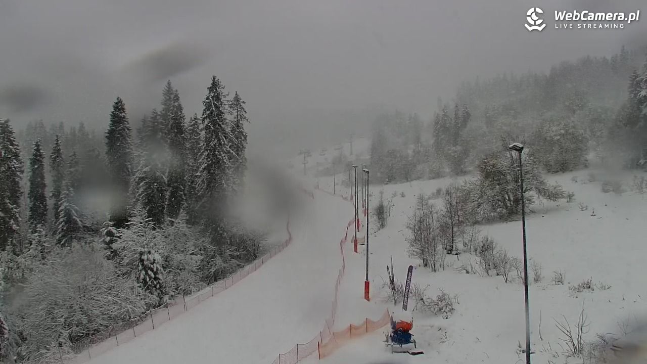 Kotelnica Białczańska - Remiaszów - 27 marzec 2026, 08:30