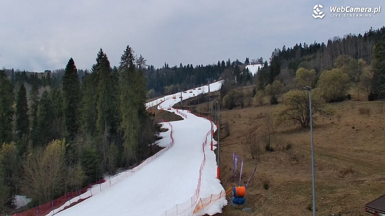 Kotelnica Białczańska - Remiaszów - 24 marzec 2026, 10:33